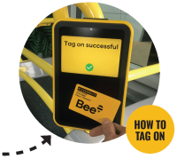 Image -  tagging onto a bus with an Accessibility Concession Bee Card