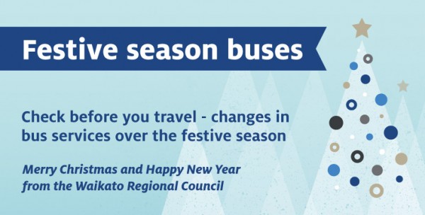 Festive season buses